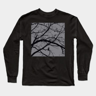 Halloween in black and gray; hawk raven vulture crow Long Sleeve T-Shirt